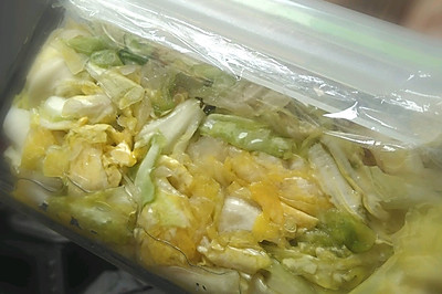 酵物1——乳酸菌圆白菜