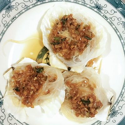 扇贝粉丝
