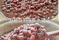 万能自制新会陈皮红豆沙 水豆沙