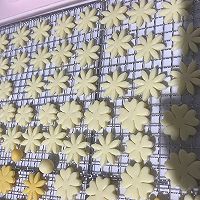 宝宝果蔬泥奶片（宝宝零食、辅食）哄娃神器的做法图解17