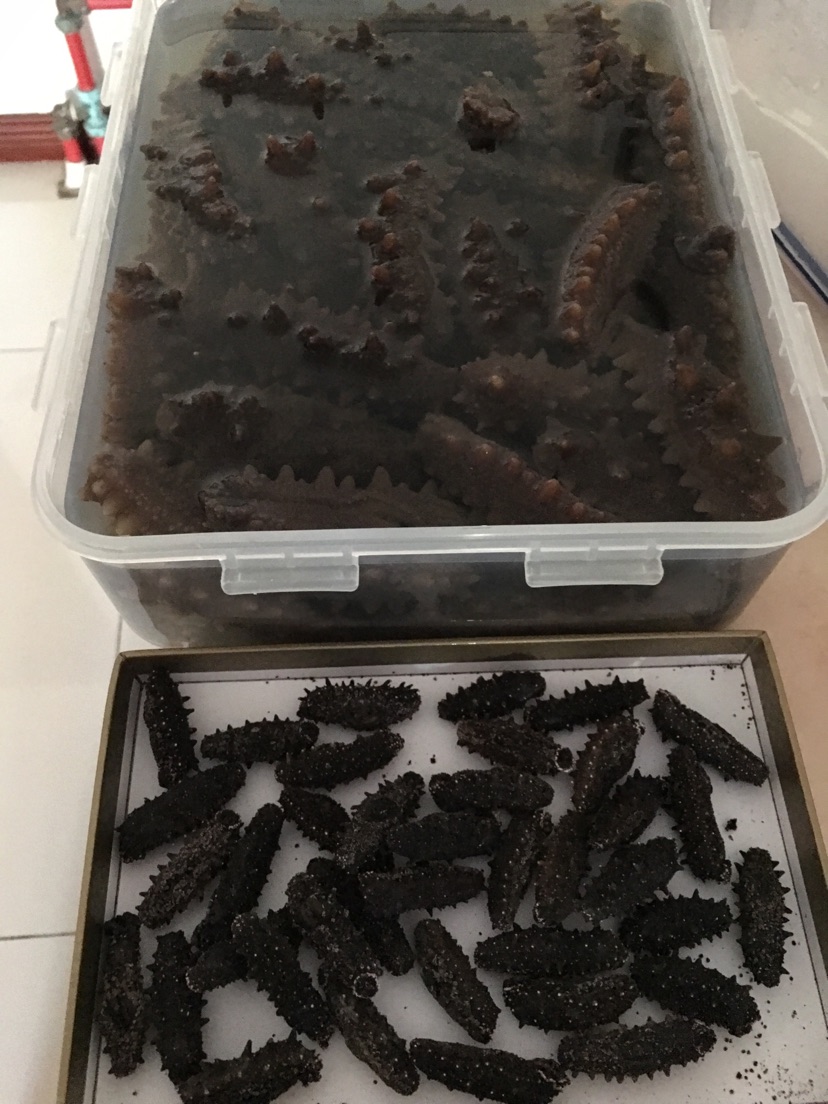 万无一失的海参泡发 方法二的做法图解3