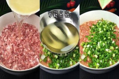 鲜肉包子馅饺子馅（万能肉馅）