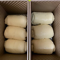 好吃的原味吐司（烫种）的做法图解9