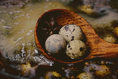 自制五香鹌鹑蛋&五香茶叶蛋