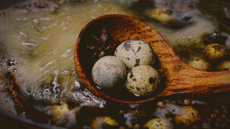 自制五香鹌鹑蛋&五香茶叶蛋的做法
