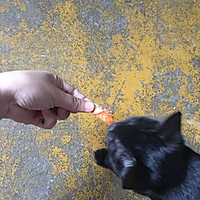 猫咪零食  烤三文鱼尾的做法图解10
