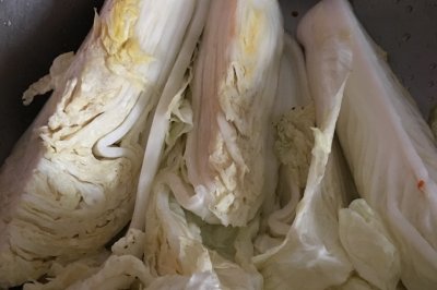 涂涂辣白菜