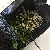 槐花麦饭的做法图解1