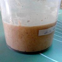 #安佳马苏里拉芝士挑战赛# 菠萝汁天然酵种养成记的做法图解15