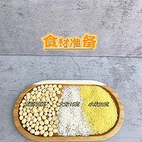 经典黄豆豆浆的做法图解1