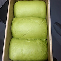 抹茶蔓越莓牛奶吐司的做法图解7