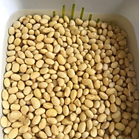 茄汁黄豆的做法图解2