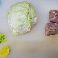 圆白菜肉丝炒粉条的做法图解2