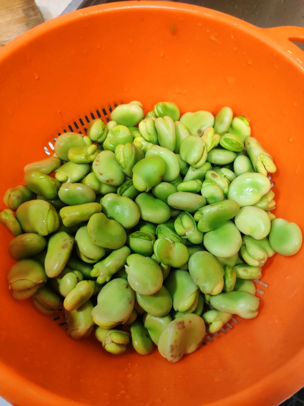 香葱蚕豆怎么做_香葱蚕豆的做法_文龙妈_豆果美食