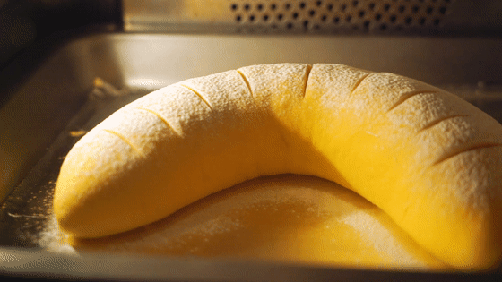 南瓜奶酪软欧包的做法图解16