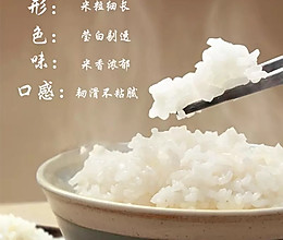 焖米饭的做法