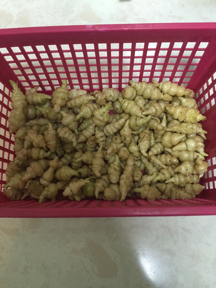 泡草石蚕的做法图解1