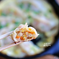 蔬菜肉末鸡蛋煎饺#太太乐鲜鸡汁中式#的做法图解9