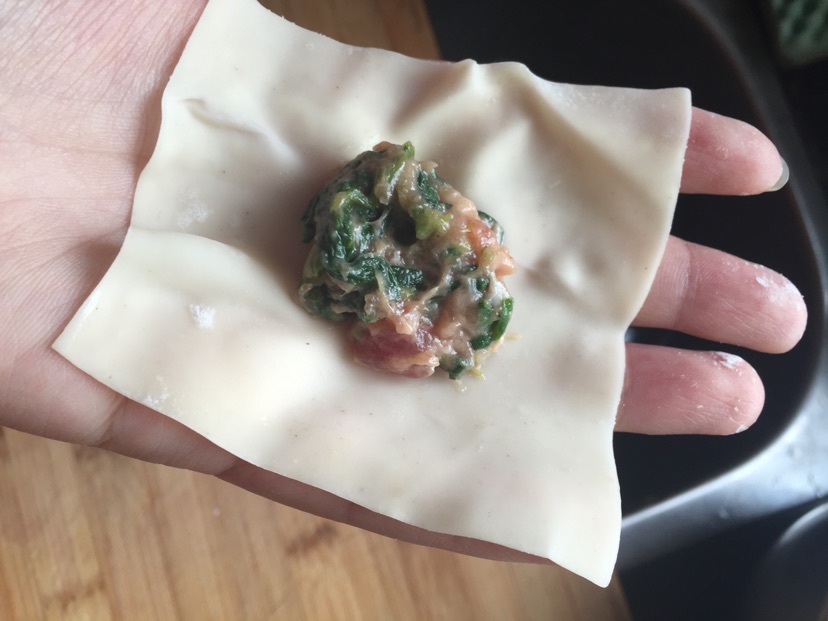 鸡汤菜肉馄饨【附红枣枸杞鸡汤做法】的做法图解9