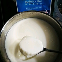 自制酸奶的做法图解7