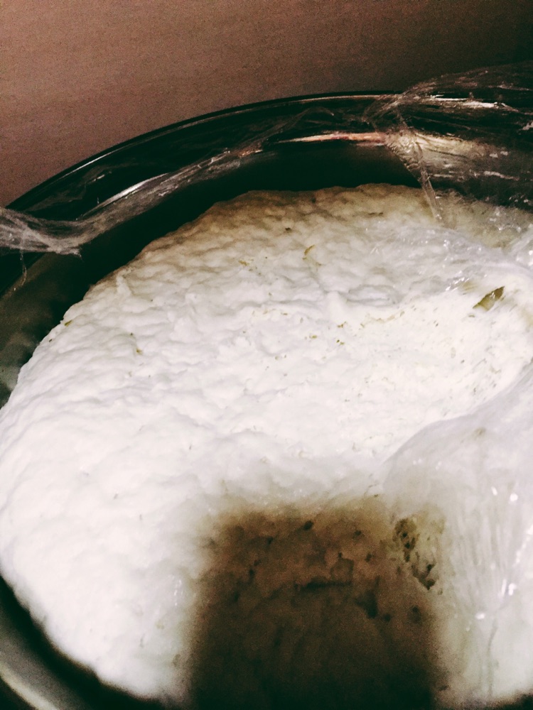 生煎菠菜猪肉包的做法图解4