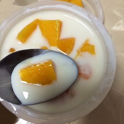 自制酸奶