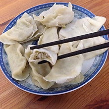 角瓜鲜肉饺子（西葫芦饺子）