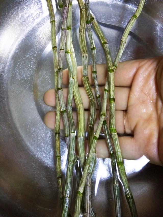 蜂蜜石斛红枣汤的做法图解1