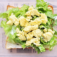 #植物蛋 美味尝鲜记#轻食俄式酸黄瓜植物蛋三明治的做法图解8