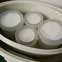 用电炖锅就能做出好酸奶的做法图解3
