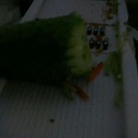 三菜烩饭的做法图解1