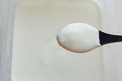 自制发酵酸奶
