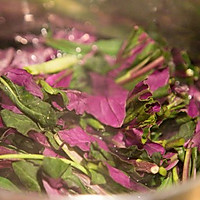 女人不能少不了深绿色蔬菜---小米辣拌紫背天葵的做法图解1