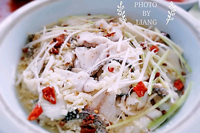 不一样的泉水鱼(无水版)