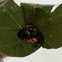 八宝蜜枣粽的做法图解12