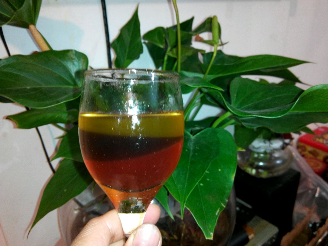 水果果冻的做法图解4