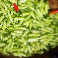 泡野山椒#装满好时光#的做法图解2