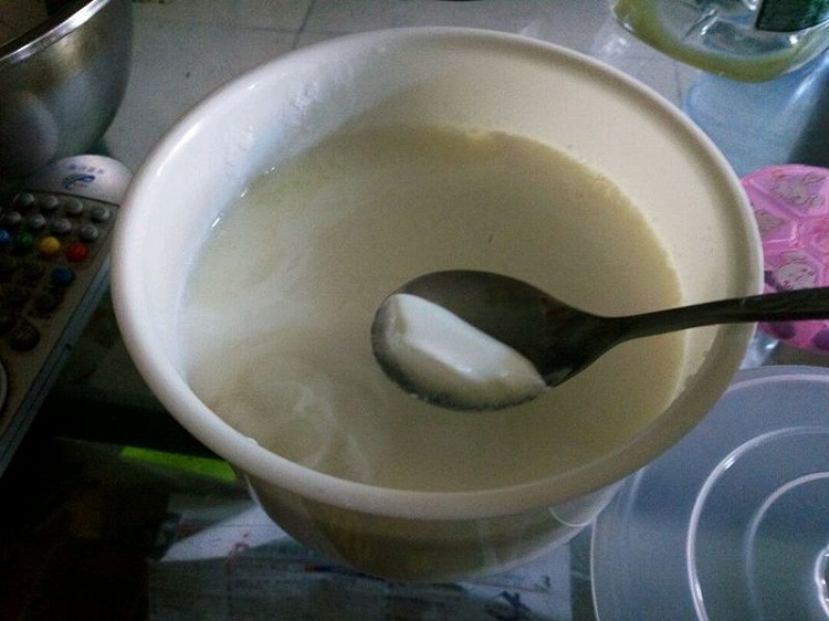 制作酸奶的做法