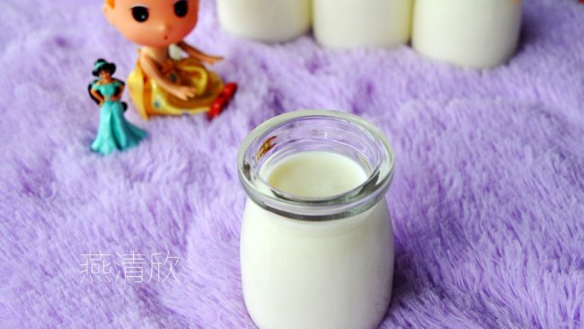自制蜂蜜酸奶的做法