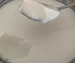 自制酸奶的做法