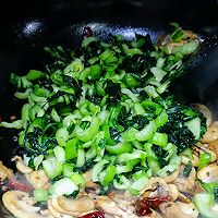 青菜口蘑的做法图解6