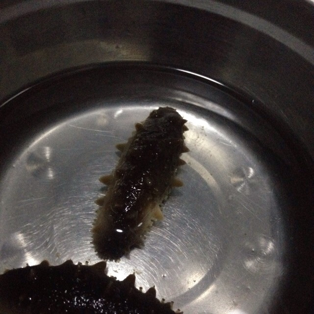 半干海参的泡发的做法