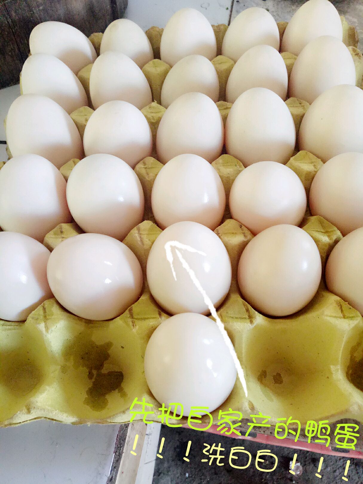 做实蛋6个蛋放多少水,怎样做实蛋的比例配方,实蛋_大山谷图库