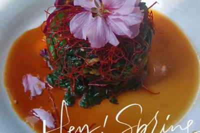 粉樱绿菠，捞汁浸菠菜。