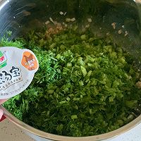 猪肉茴香包子的做法图解1