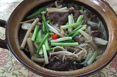 杂菌牛肉煲