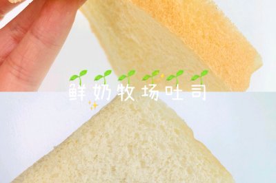 鲜奶吐司