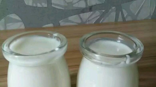 酸奶机版酸奶制作的做法
