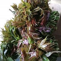油泼香椿的做法图解1