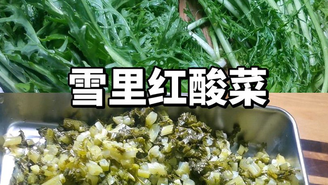 #i上冬日 吃在e起#雪里红酸菜的做法